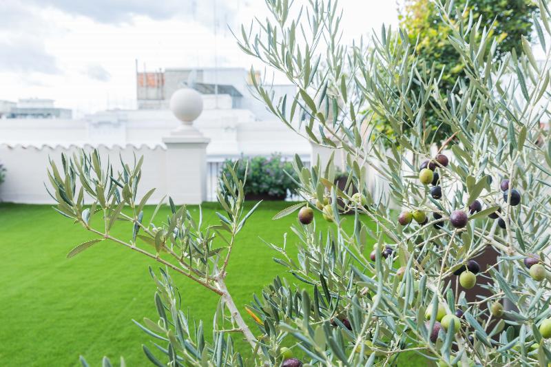 200 Rooms & Terrace - Teras