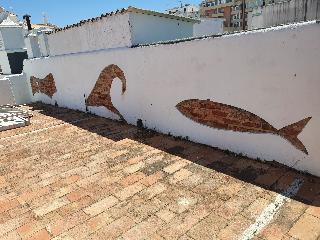Baixa Terrace Hostel fotoÄŸrafÄ±