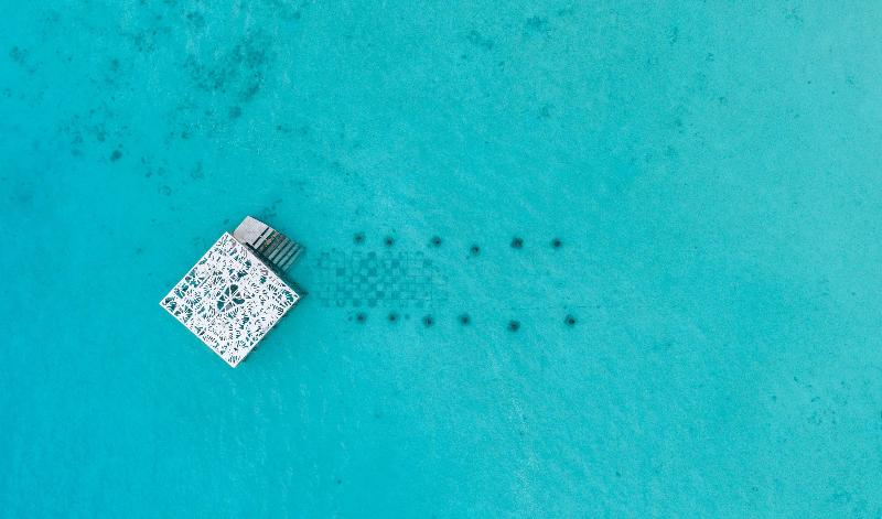 Sirru Fen Fushi Private Lagoon - Aktivite