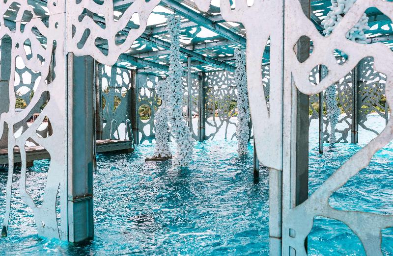 Sirru Fen Fushi Private Lagoon - Genel