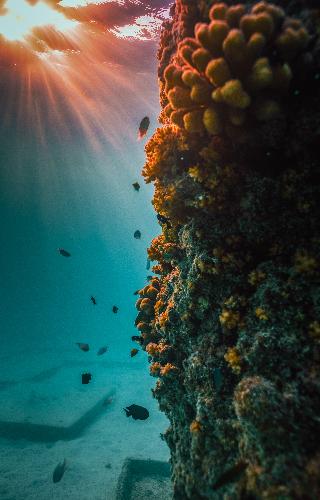 Sirru Fen Fushi Private Lagoon fotoÄŸrafÄ±