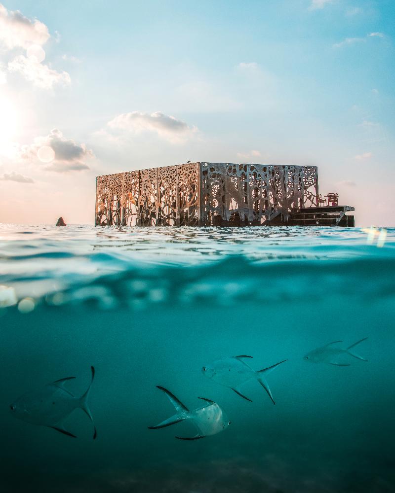 Sirru Fen Fushi Private Lagoon - Genel
