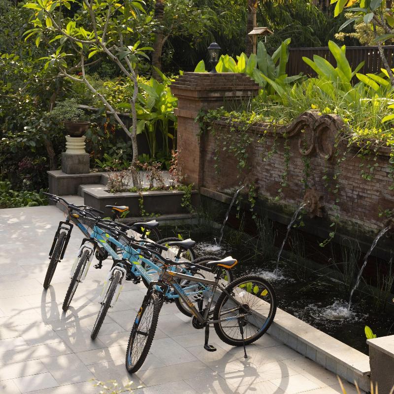 Element By Westin Bali Ubud - Aktivite