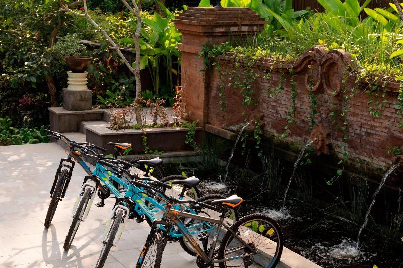 Element By Westin Bali Ubud - Genel