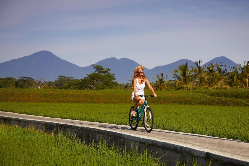 Element By Westin Bali Ubud - Genel