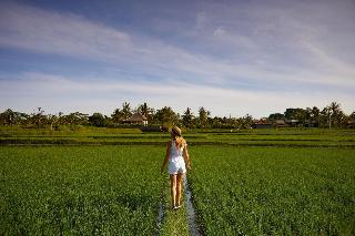 Element By Westin Bali Ubud fotoÄŸrafÄ±