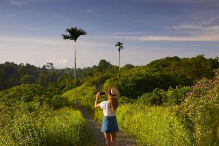 Element By Westin Bali Ubud fotoÄŸrafÄ±