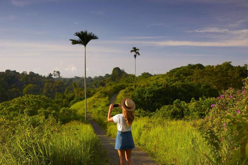 Element By Westin Bali Ubud - Genel