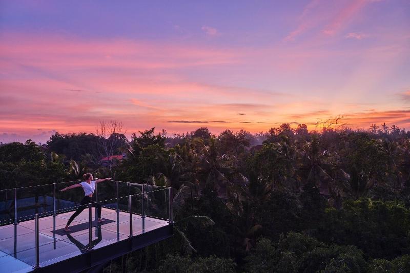 Element By Westin Bali Ubud - Genel
