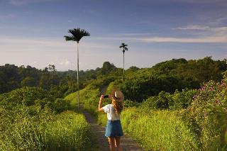 Element By Westin Bali Ubud fotoÄŸrafÄ±