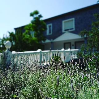 Villa Ignacia B&B fotoÄŸrafÄ±