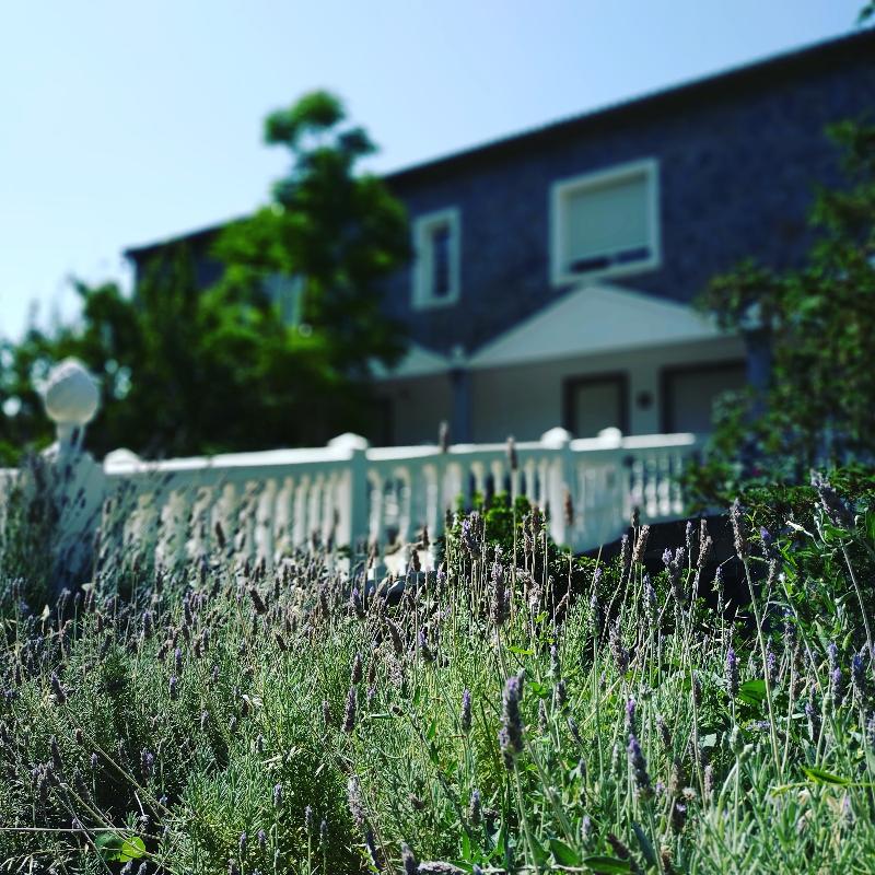 Villa Ignacia B&B - Genel
