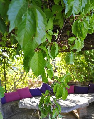 Villa Ignacia B&B fotoÄŸrafÄ±