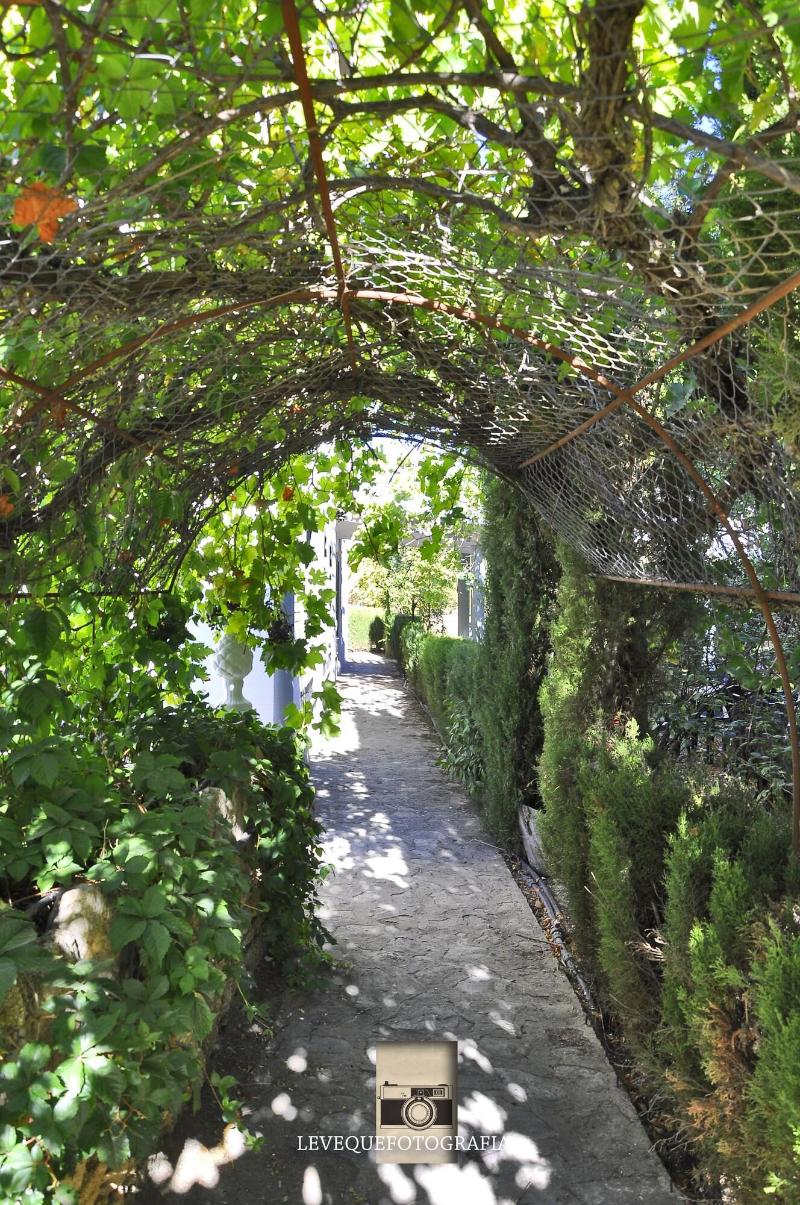 Villa Ignacia B&B - Genel
