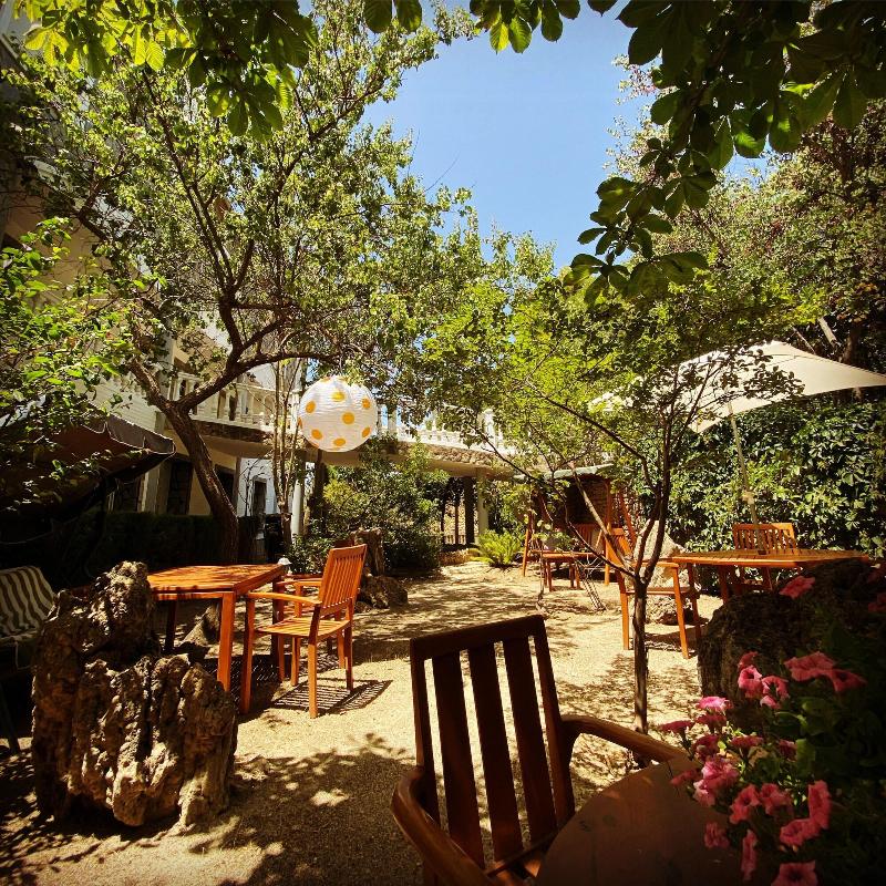 Villa Ignacia B&B - Genel