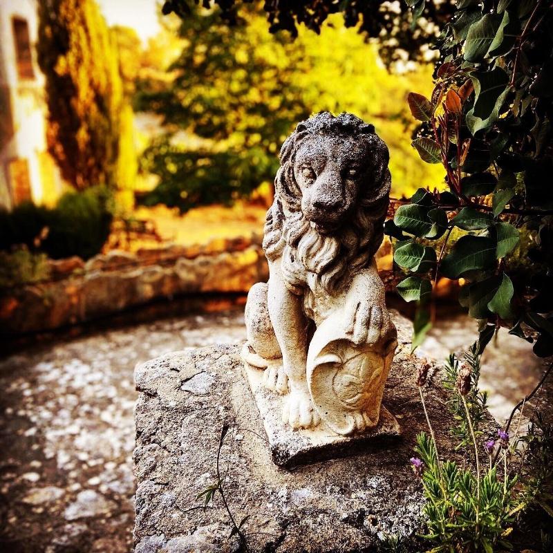 Villa Ignacia B&B - Genel