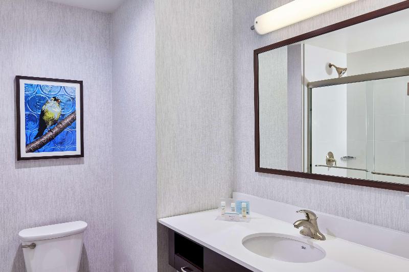 Hampton Inn & Suites Teaneck Glenpointe - Oda