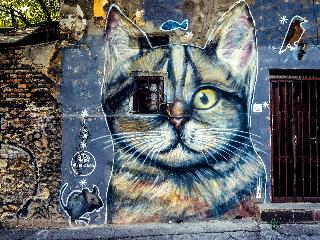 Mama Shelter Belgrade fotoÄŸrafÄ±