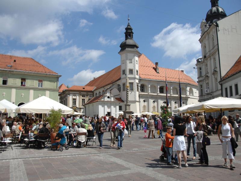 B&B HOTEL Maribor Orel - Genel
