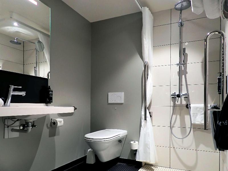 Ibis Styles Geneve Carouge - Oda