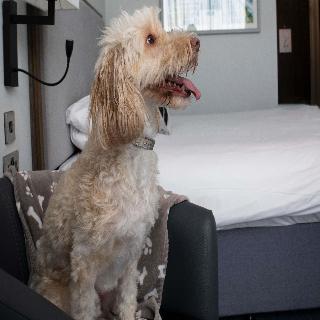 Mercure Bridgwater Hotel fotoÄŸrafÄ±