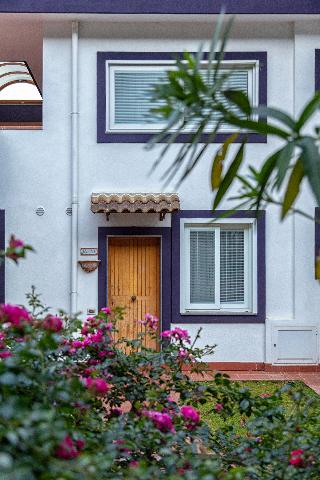 Agave Hotel fotoÄŸrafÄ±