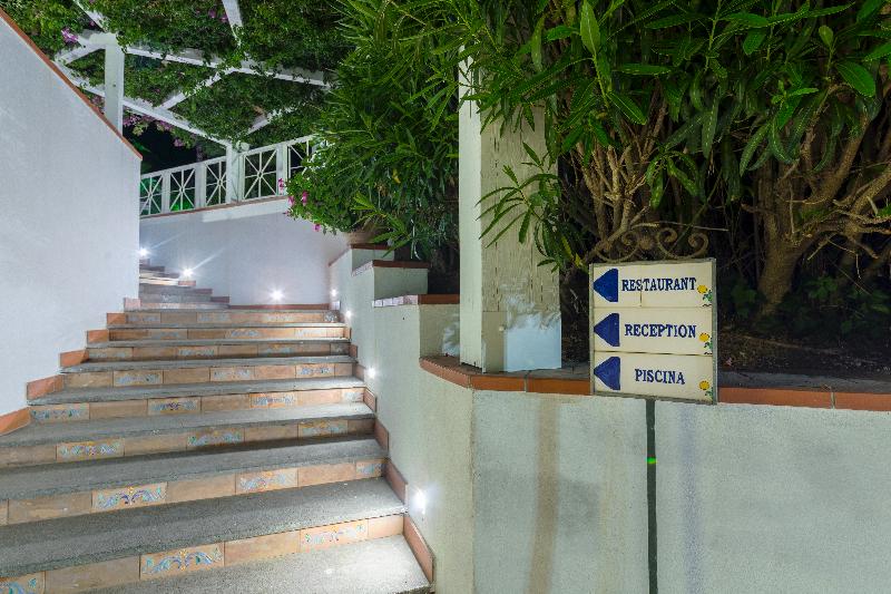 Agave Hotel - Genel
