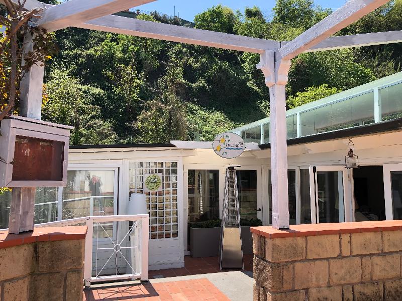 Agave Hotel - Genel