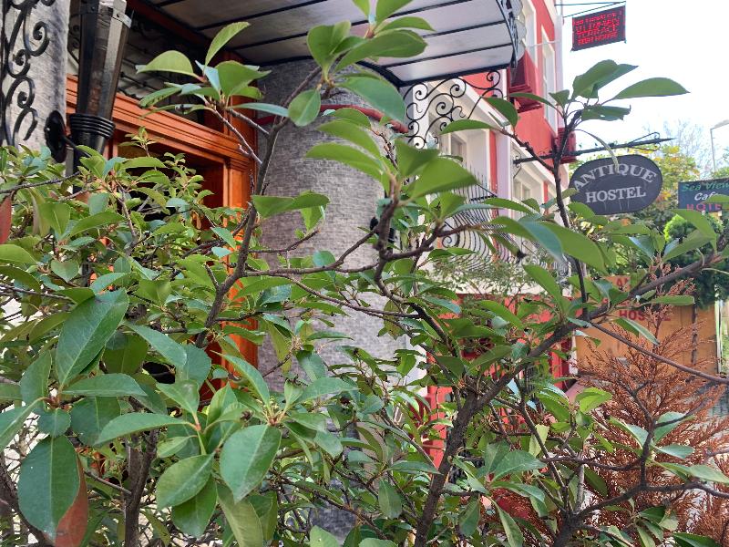 Antique Hostel - Genel