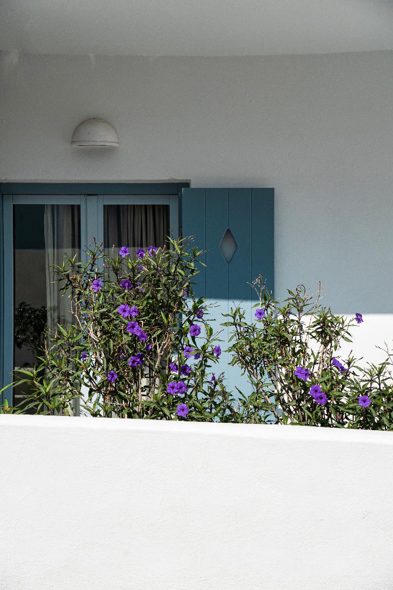 Iris Boutique Hotel - Teras