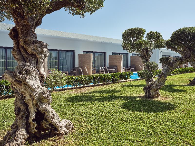 Cavo Orient Beach Hotel & Suites - Genel