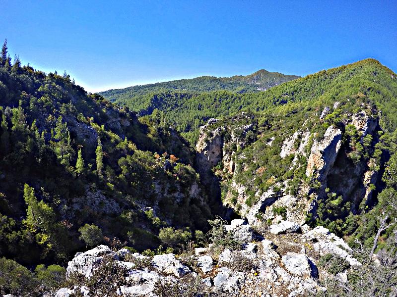 Club Agia Anna Summer Resort - Aktivite