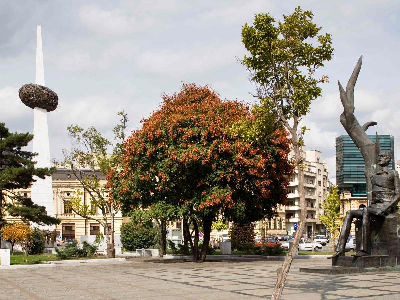 Ibis Styles Bucharest Erbas - Aktivite