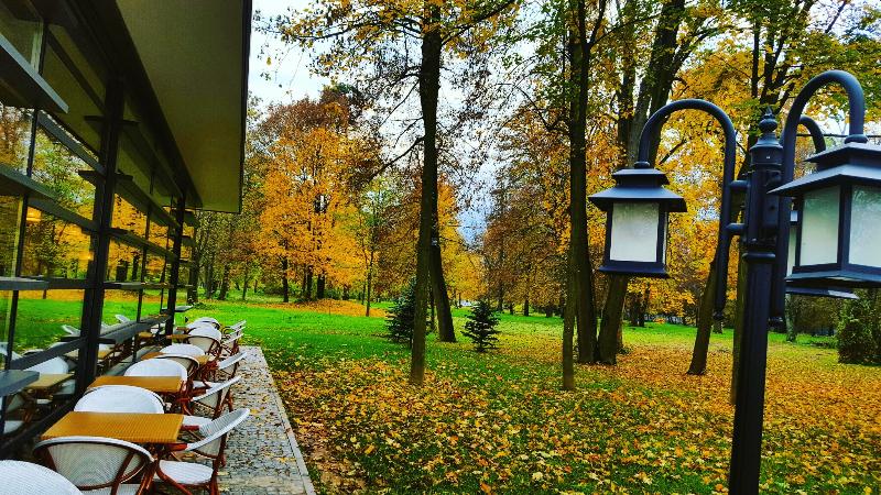 Heritage Hotel Krone - Teras