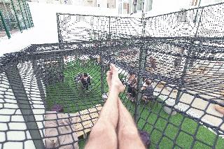 WOT Patio Social fotoÄŸrafÄ±