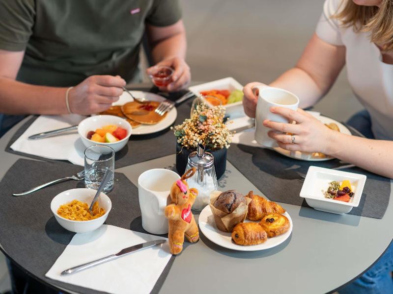 Novotel Suites Colmar Centre - Genel