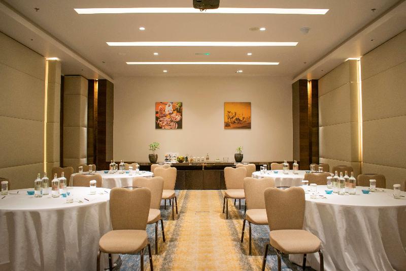 Radisson Blu Hotel Ajman - Toplantı