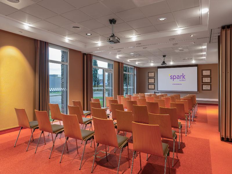 Spark by Hilton Lyon Eurexpo - Toplantı