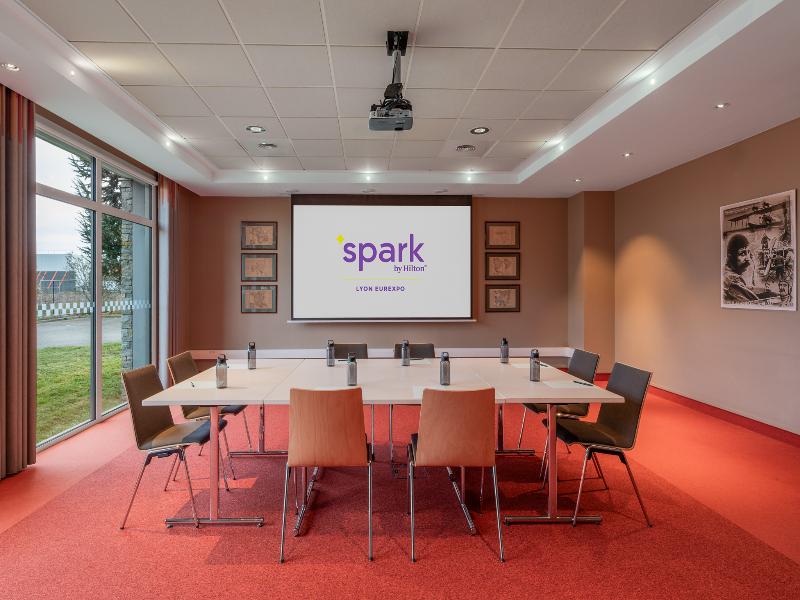 Spark by Hilton Lyon Eurexpo - Toplantı