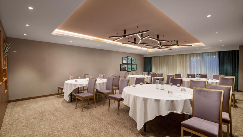 Holiday Inn London Gatwick Worth - Toplantı