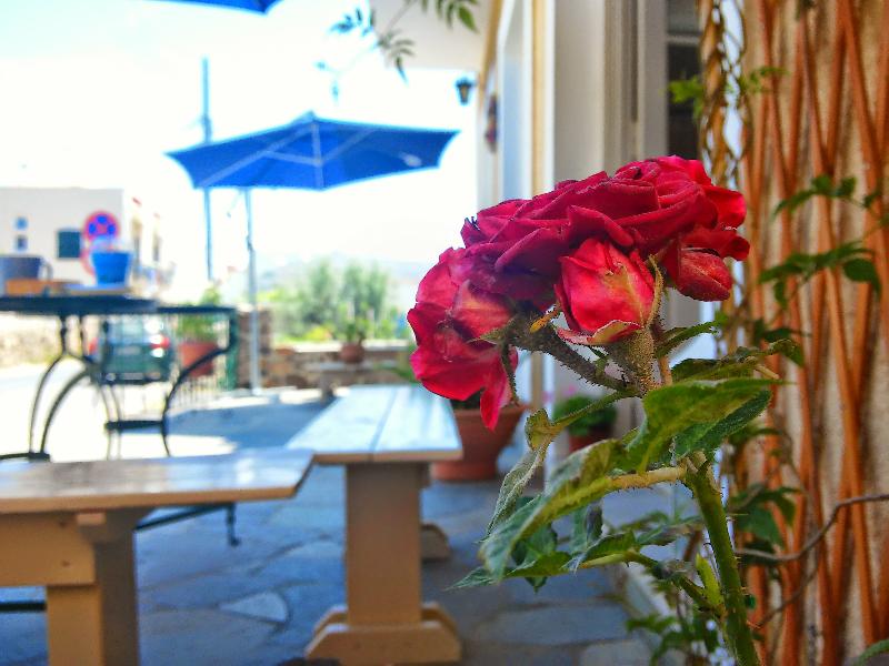 Hotel Aegina - Genel