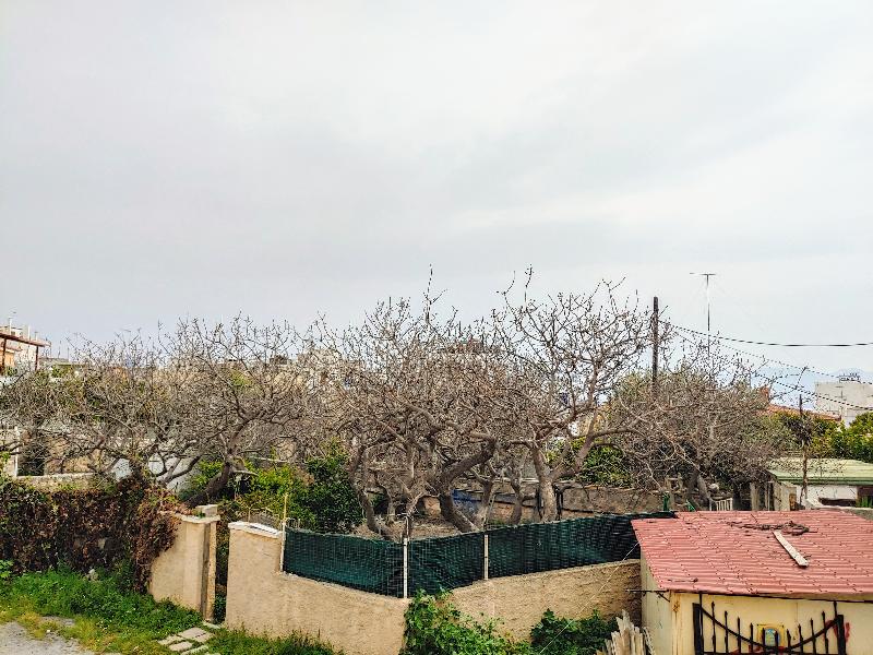 Hotel Aegina - Oda