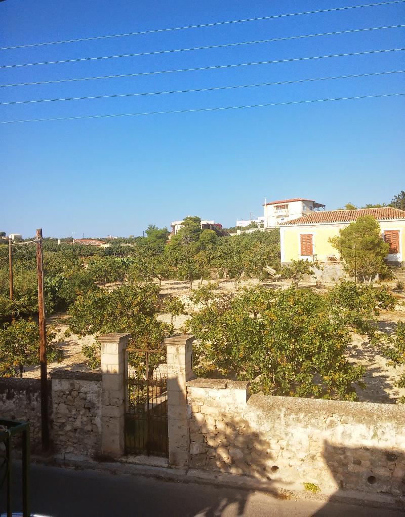 Hotel Aegina - Oda