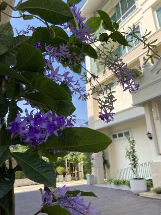 Siam Tharadol SHA Plus+ by ZUZU fotoÄŸrafÄ±