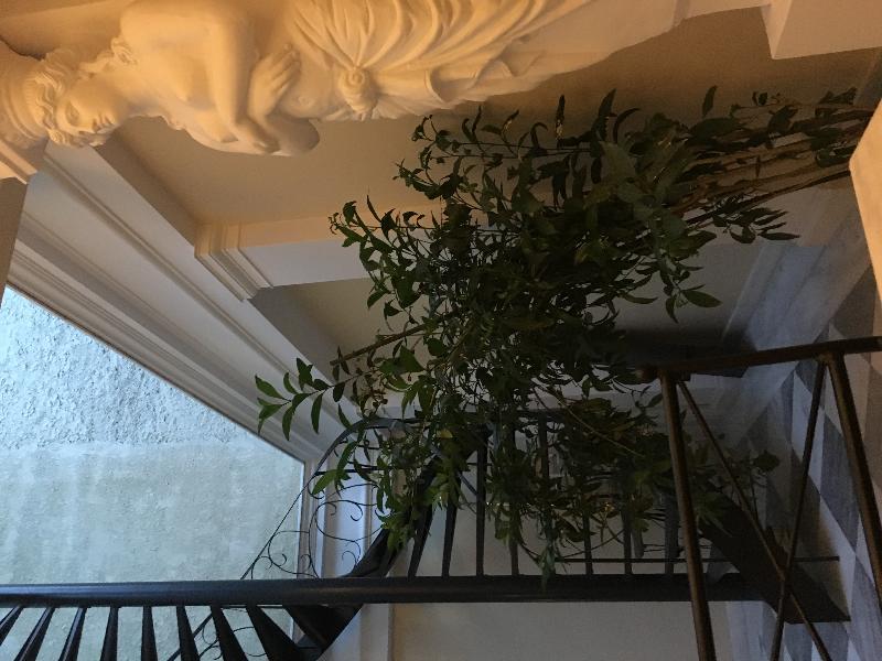 Noble Suites - Genel