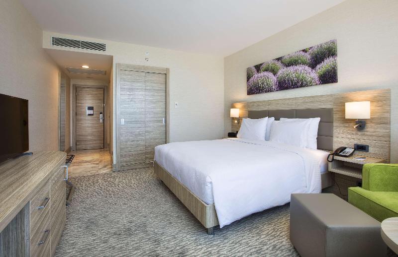 Hilton Garden Inn Isparta - Oda