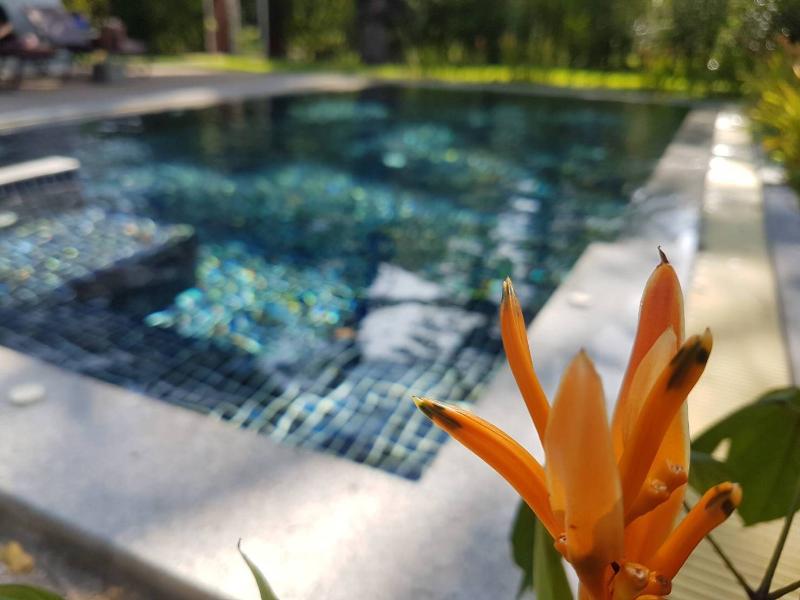 Alisea Pool Villa, Aonang - Havuz