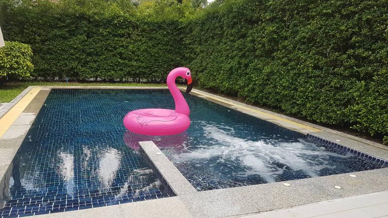 Alisea Pool Villa, Aonang - Havuz