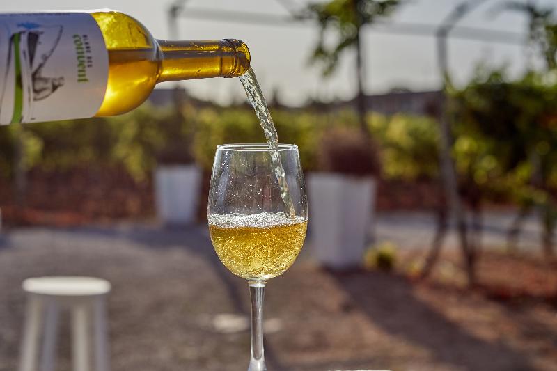Sa Vinya des Convent Agroturismo - Genel