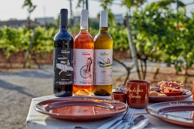 Sa Vinya des Convent Agroturismo - Genel